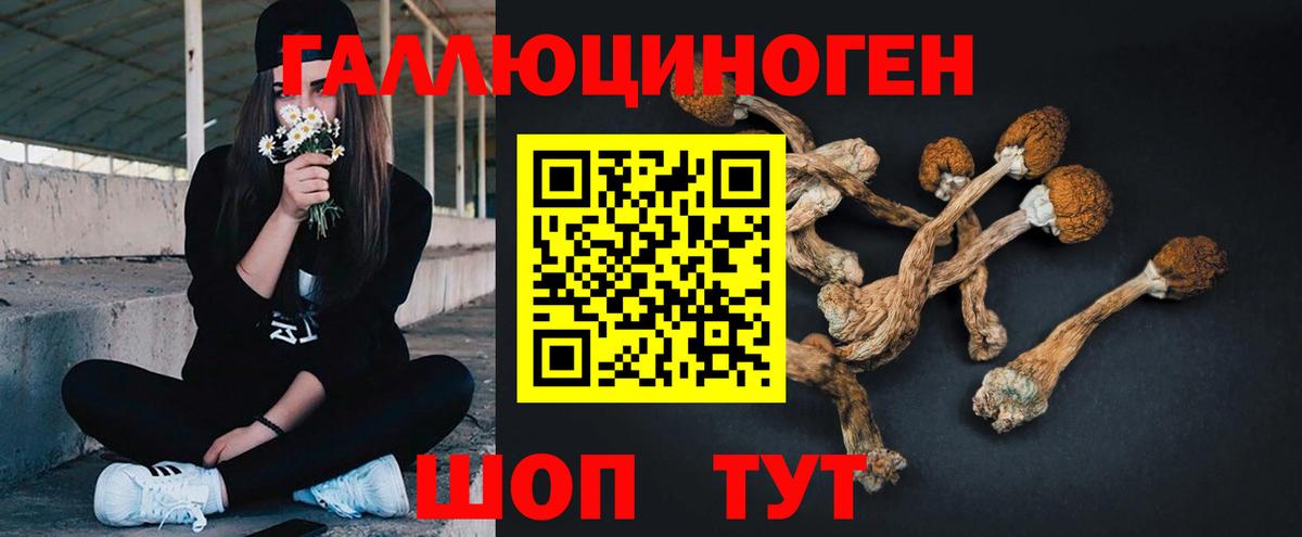 Галлюциногенные грибы GOLDEN TEACHER  Псилоцибиновые грибы MAGIC MUSHROOMS  Нефтекамск  Вход с VPN 